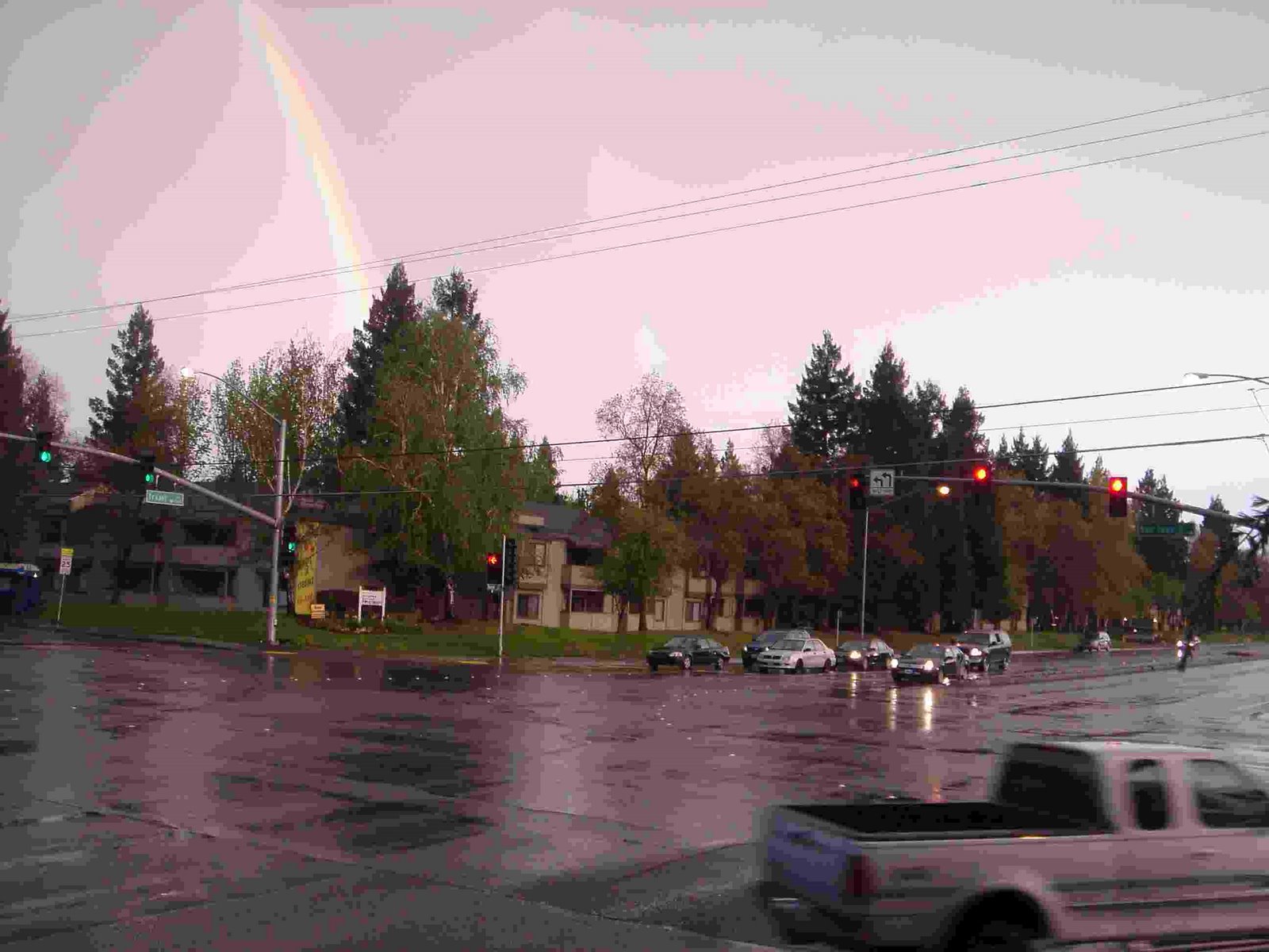 [seeninnatomas4709.jpg]