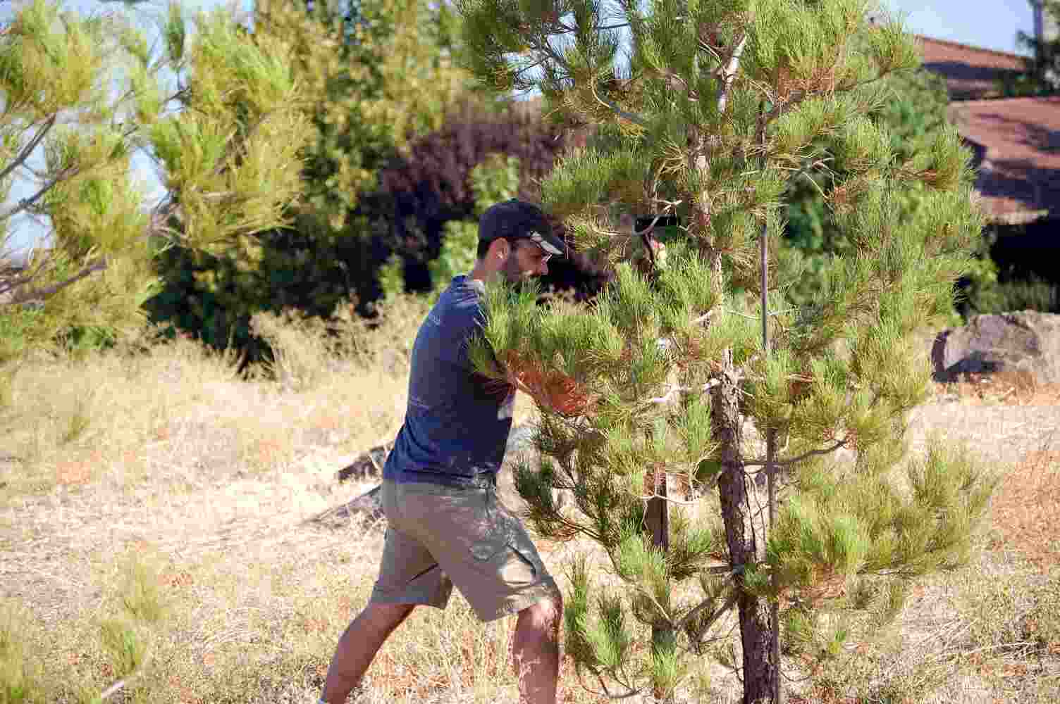 [burberryparkstakes.jpg]