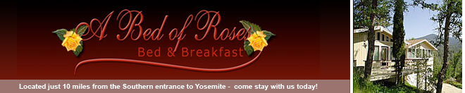 Bed of Roses: Yosemite Bed and Breakfast