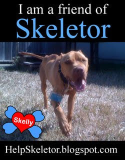 Please donate to help Skeletor