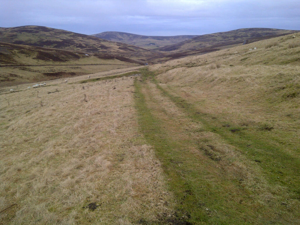 Berwickshire Walks The Herring Road, Whiteadder Reservoir to Watch Water