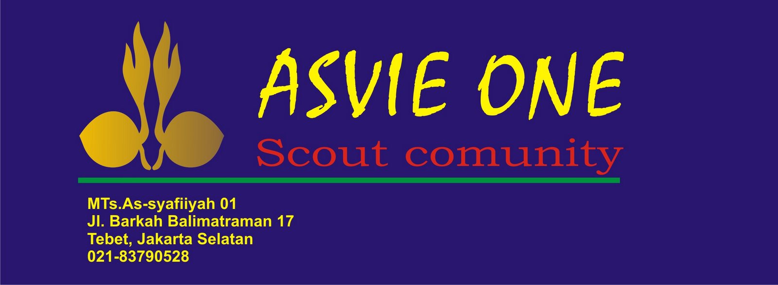 ASVIE ONE