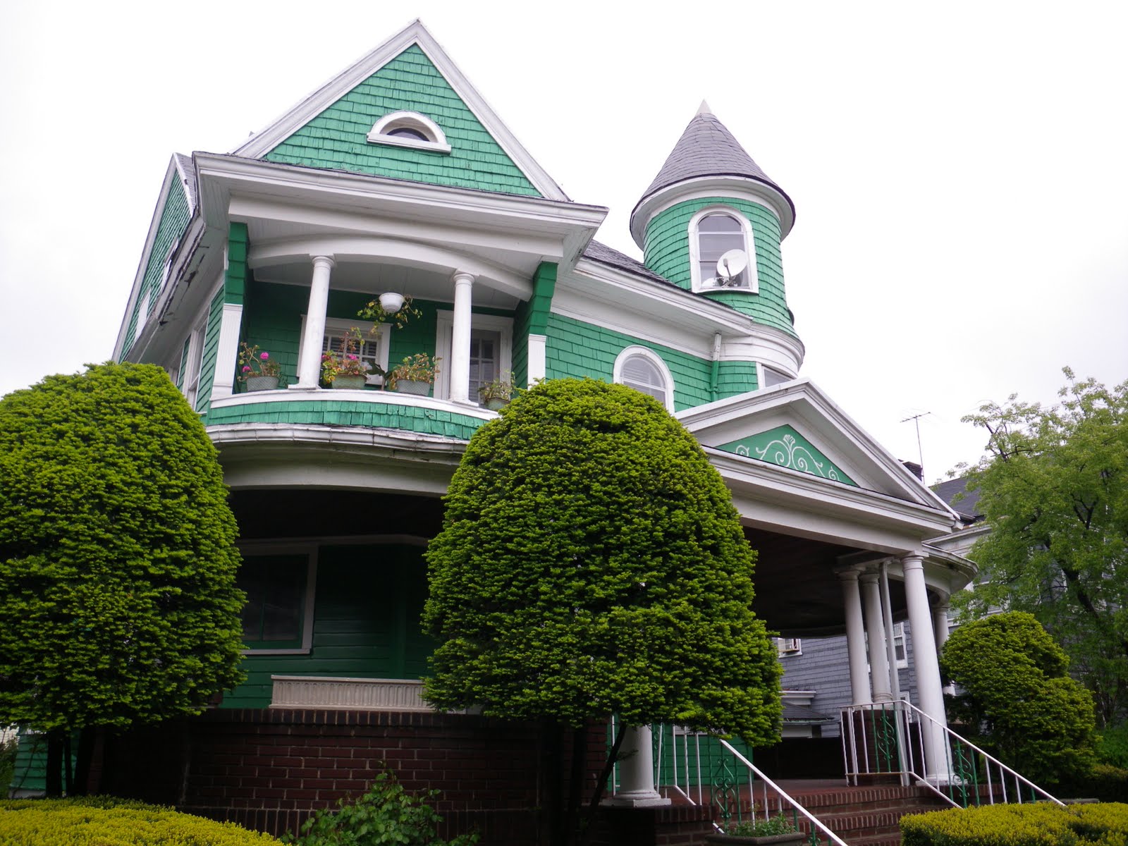 Frogma Full Spectrum in Victorian Flatbush