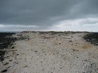 2006 冬 番黍仔尾嶼島上垃圾