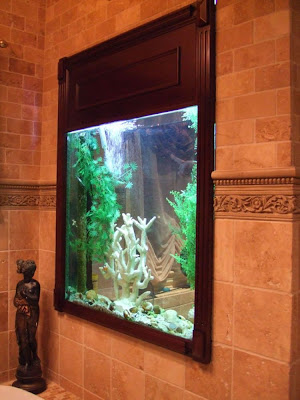 fish aquarium design