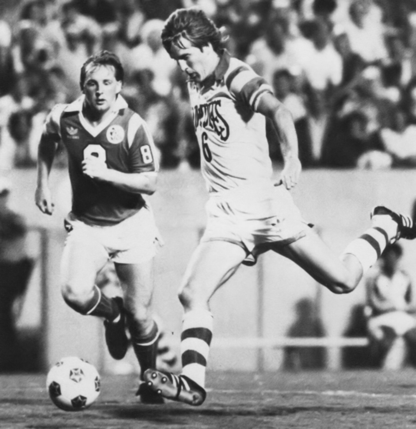 TAMPA BAY ROWDIES APPRECIATION BLOG (1975 to 1993) Rowdies Press