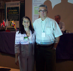 Dr Pengue Jornada EcoEco UNGS
