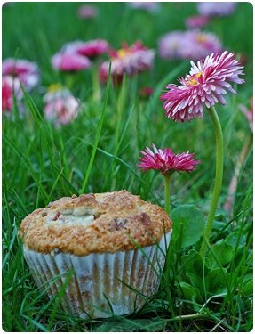 [DSC_0046+stokrotki.JPG]