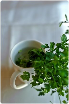 [DSC_0145+KUS+8.JPG]