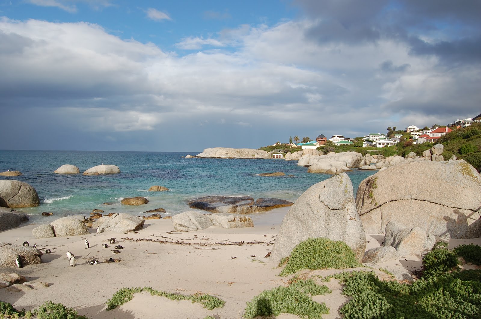 LEANDRO SCOTT Simonstown (Boulders Beach)