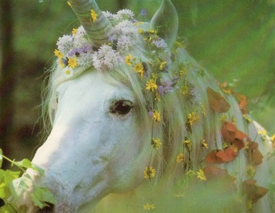 flower%2Bhorse%2Bunicorn.jpg