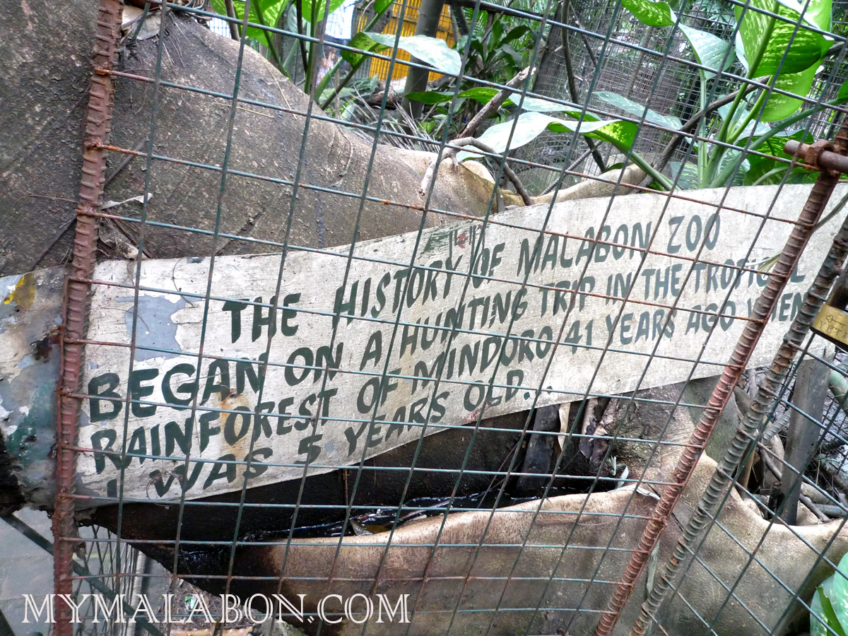 Malabon zoo thesis 08 picture