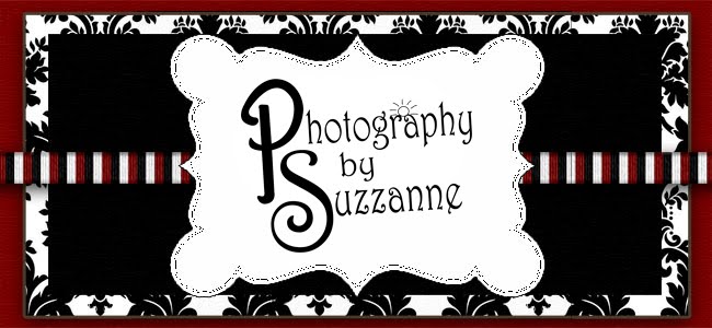 Photography by Suzzanne