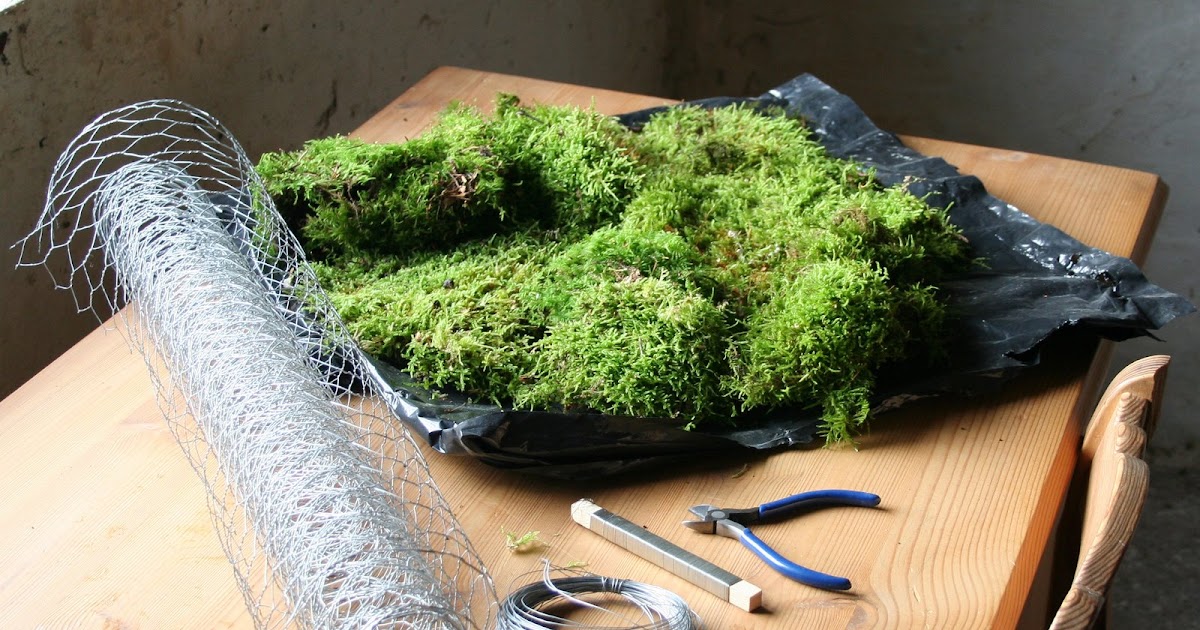 Handmade How to make a teddy bear out of moss Handmade How to make a teddy bear out of moss