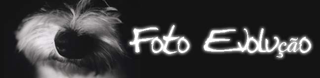 Foto Evolução