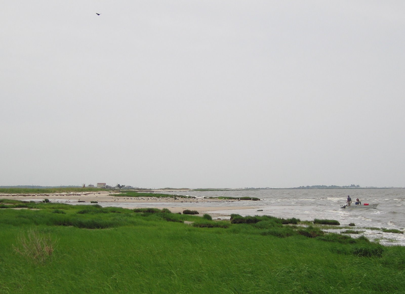 [Gandys+boat+landing.JPG]