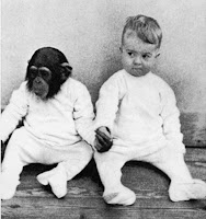 El simio y el niño