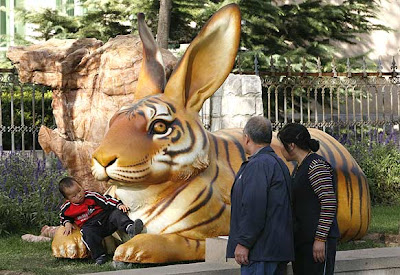 Tigre-conejo