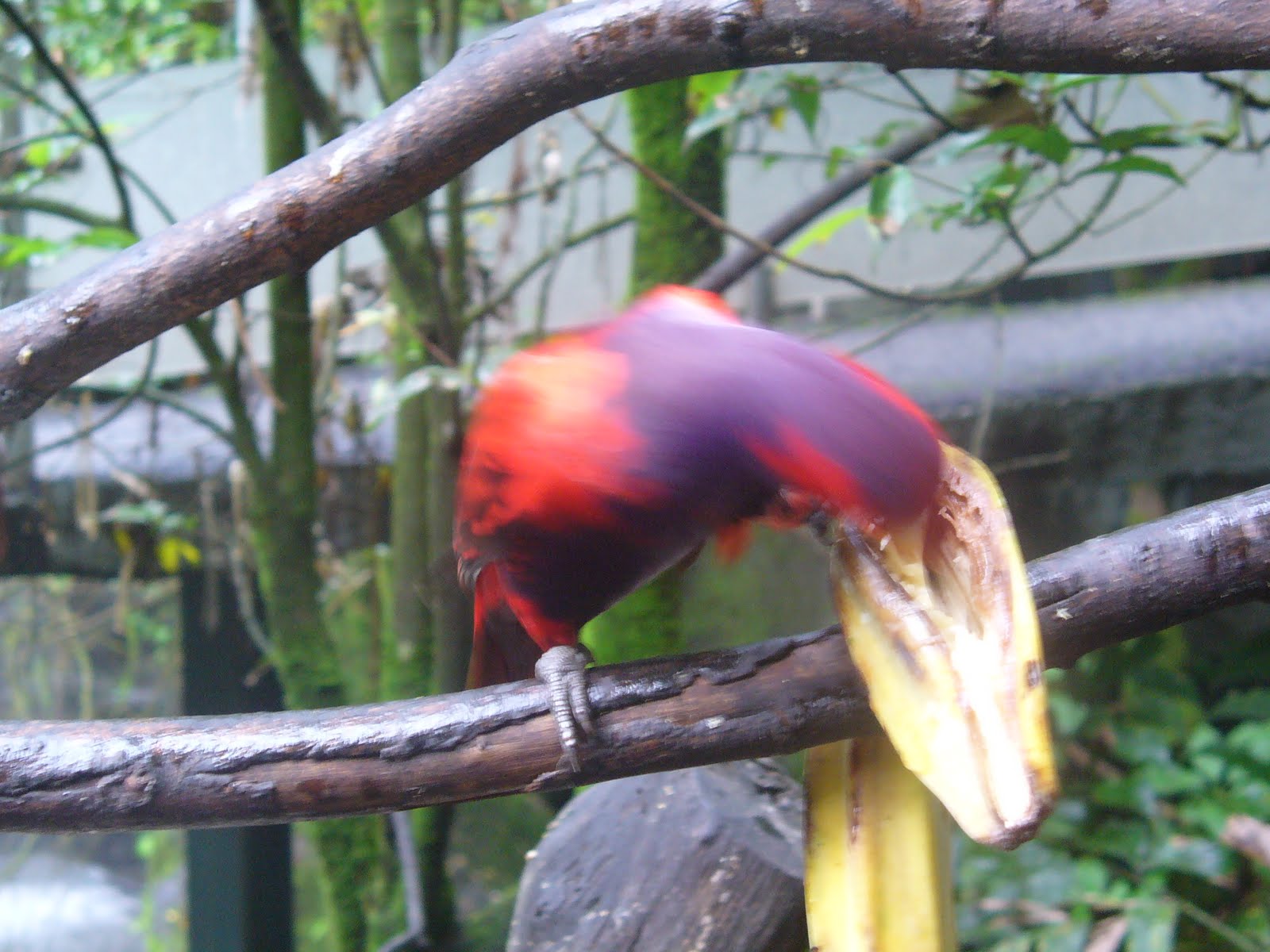 [P1010300.JPG]