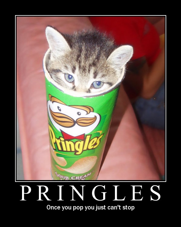 [Image: cat_pringles.jpg]