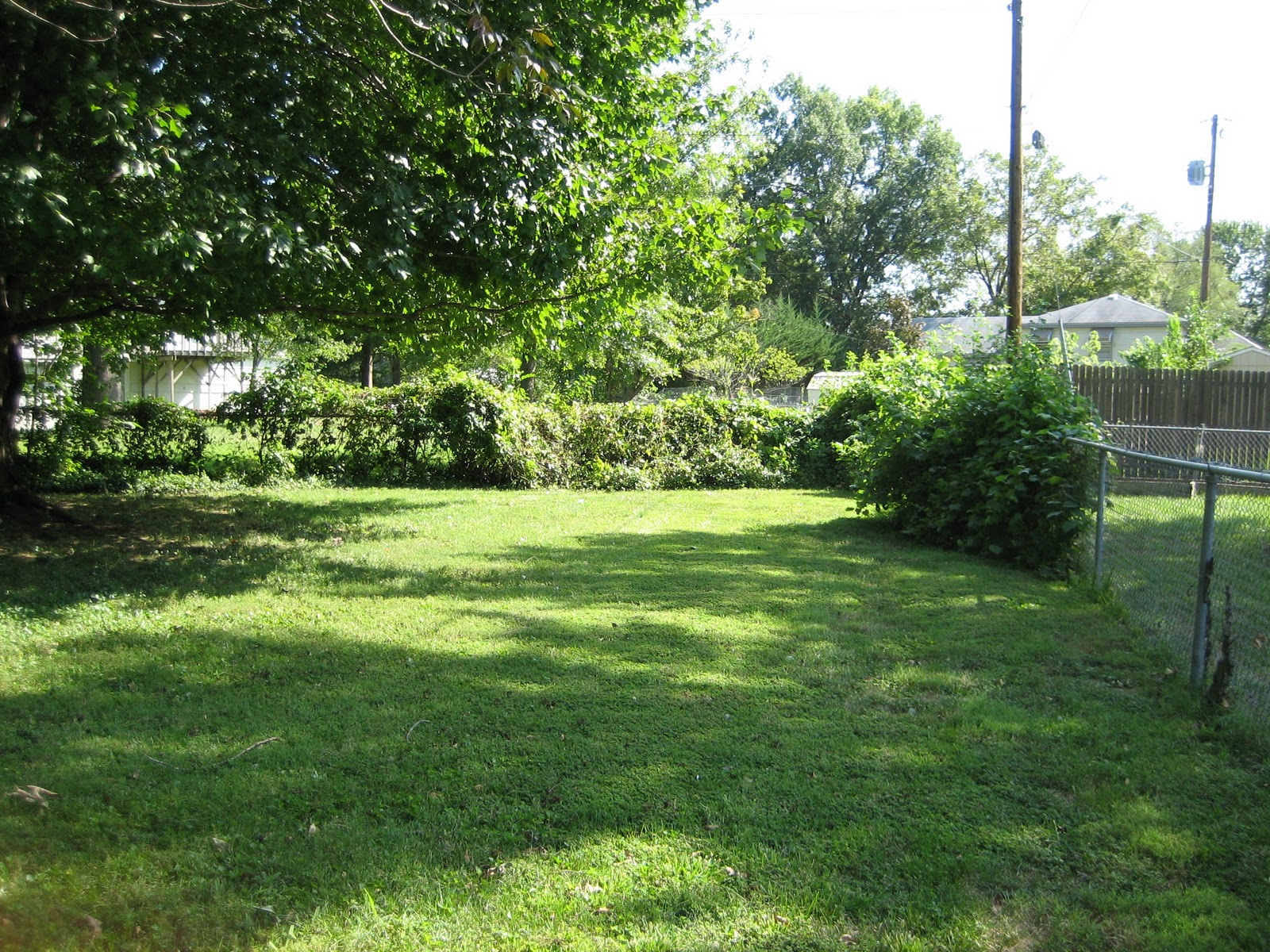 CRUNCHY GRANOLA The Bramble Bush Project