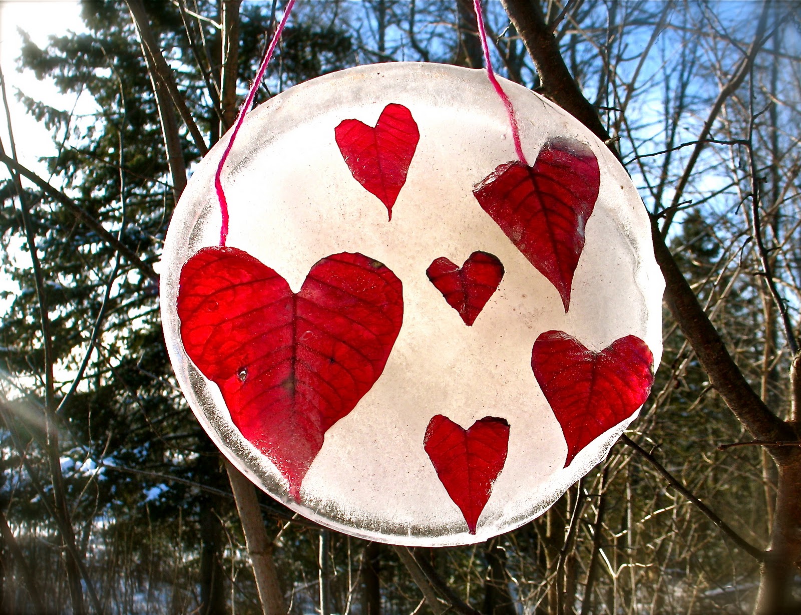 Twig and Toadstool: Love Inspired Suncatchers