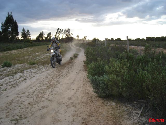 [DSC02895.JPG]