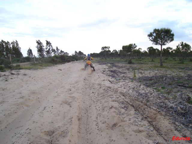 [DSC02899.JPG]