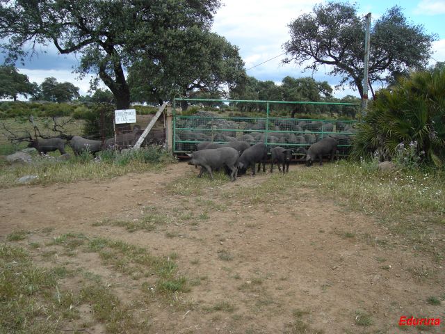 [DSC02977.JPG]