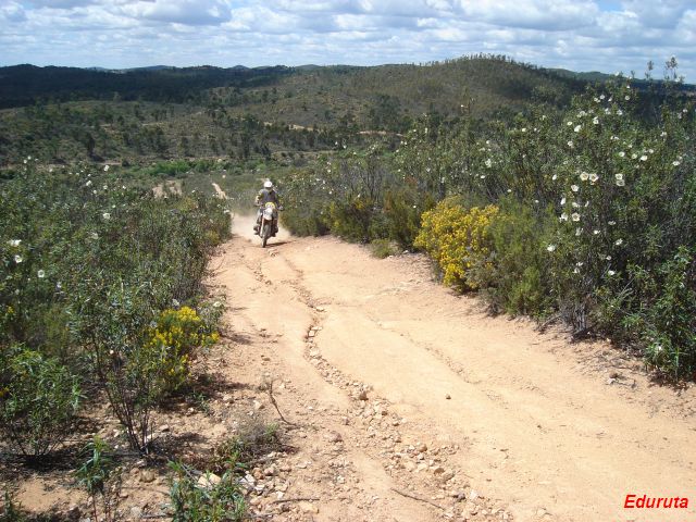 [DSC02956.JPG]