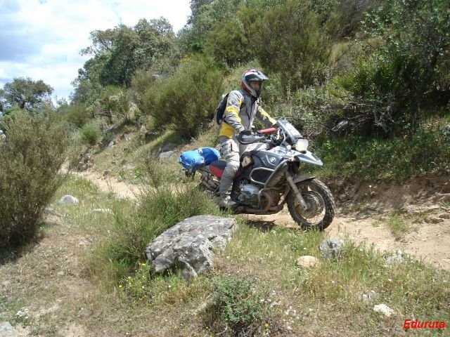 [DSC02954.JPG]