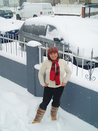 llego la nevada 2009