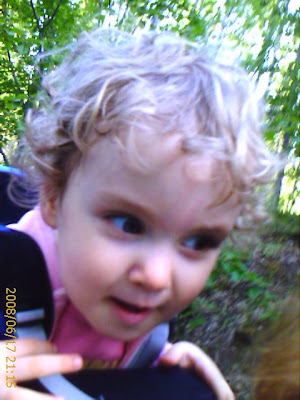 Life with Lilith and the cats: Kelty FC 3.0 child Carrier