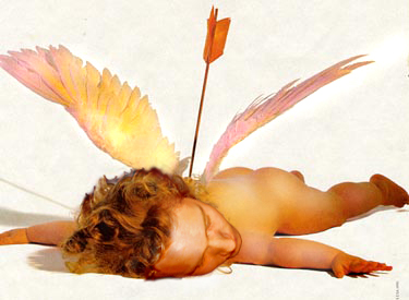 [stevecupid.jpg]