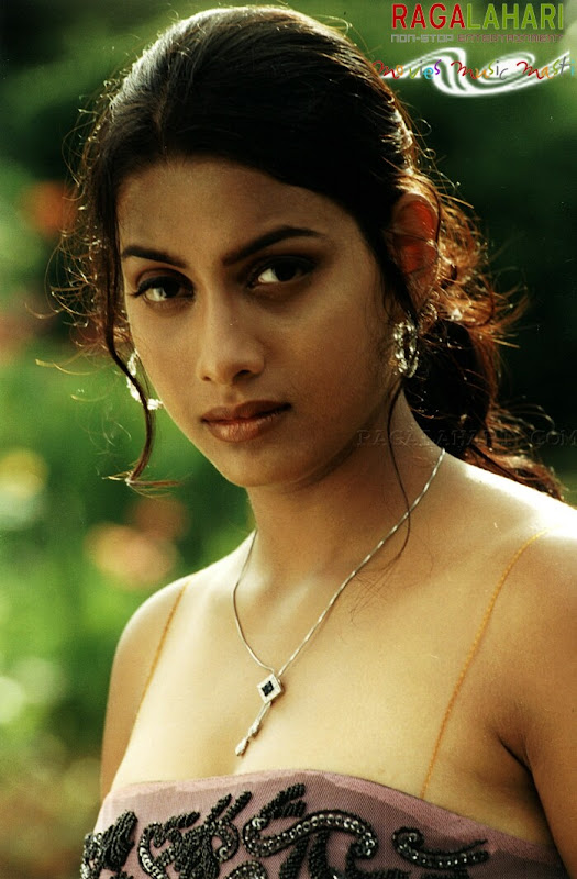 South Indian Cinema Actress: South Indian Hot Actress1