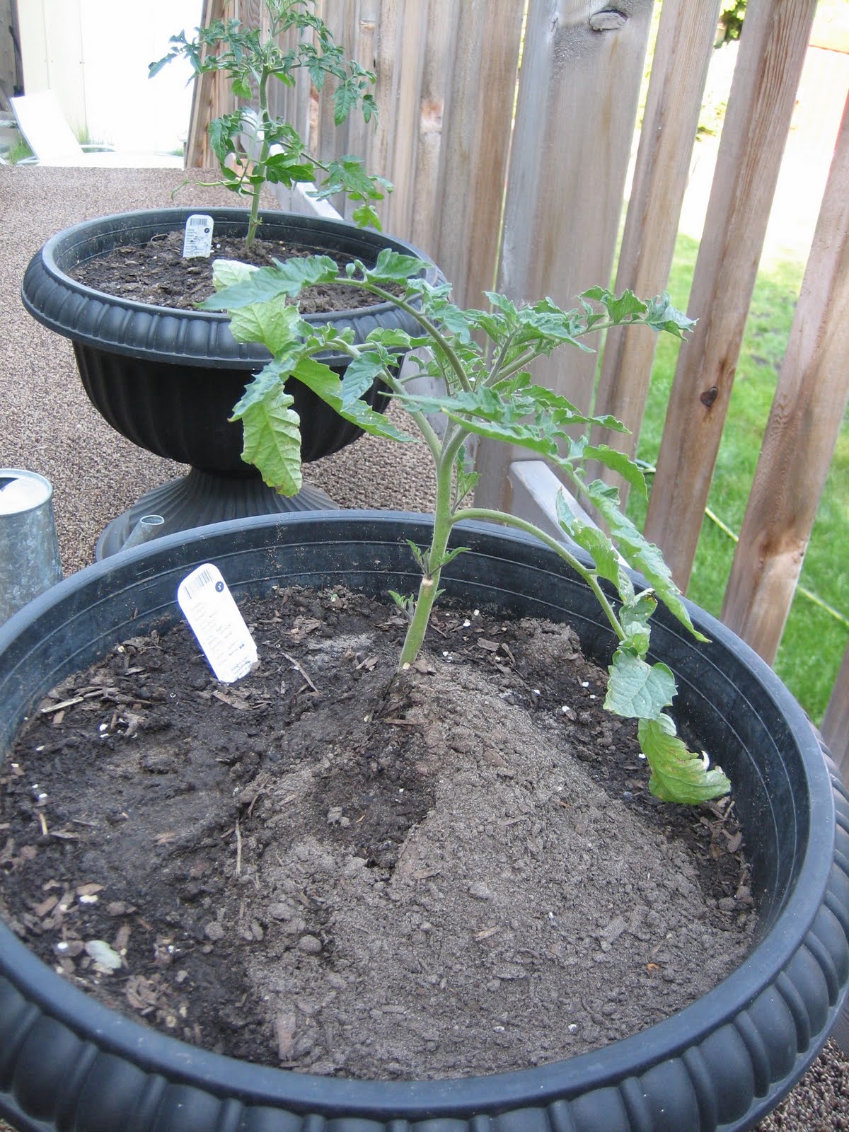 Equal Opportunity Kitchen June 2010