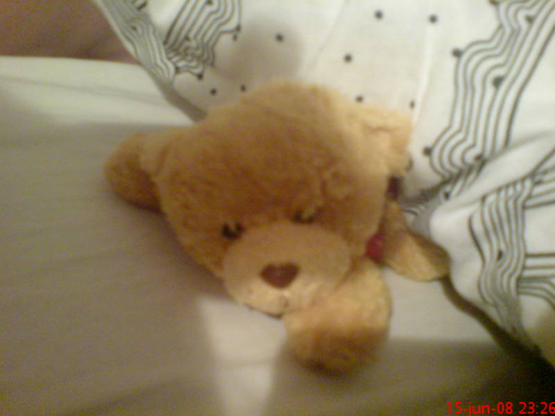 [image-upload-91-746526.jpg]