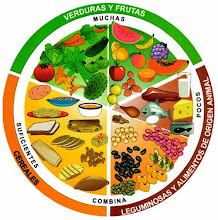 ESQUEMA DE ALIMENTACIÓN