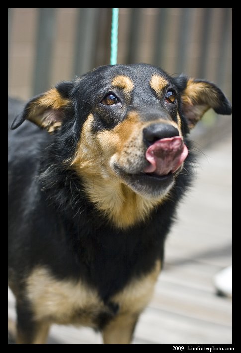[met+petskaf12.jpg]
