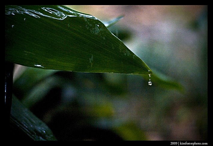 [IMG0178.jpg]
