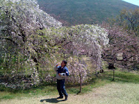 桜の下で、桜ソフト