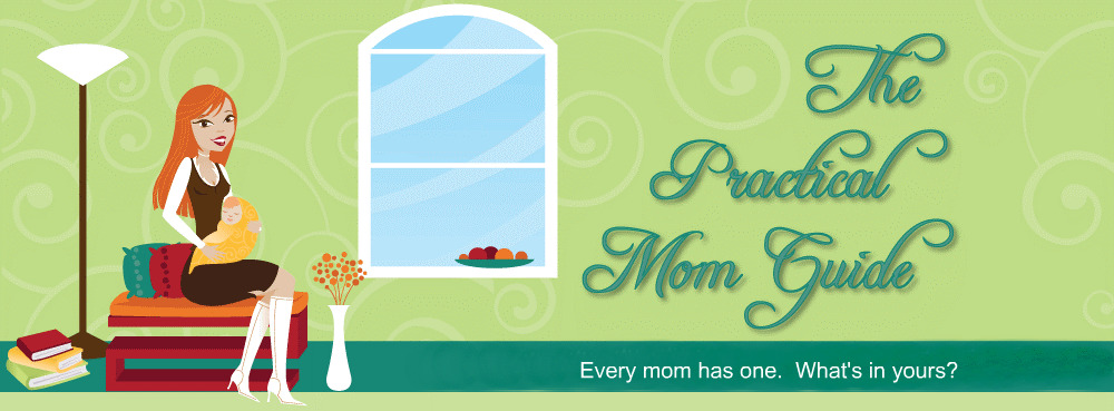 The Practical Mom Guide: 2011