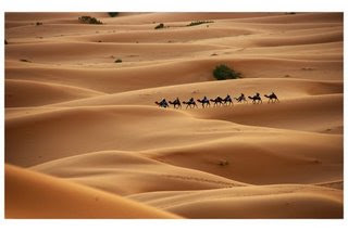 sahara desert one of the top ten travel wonders of Africa