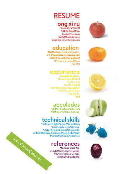 redacci-n-profesional-curr-culum-vitae