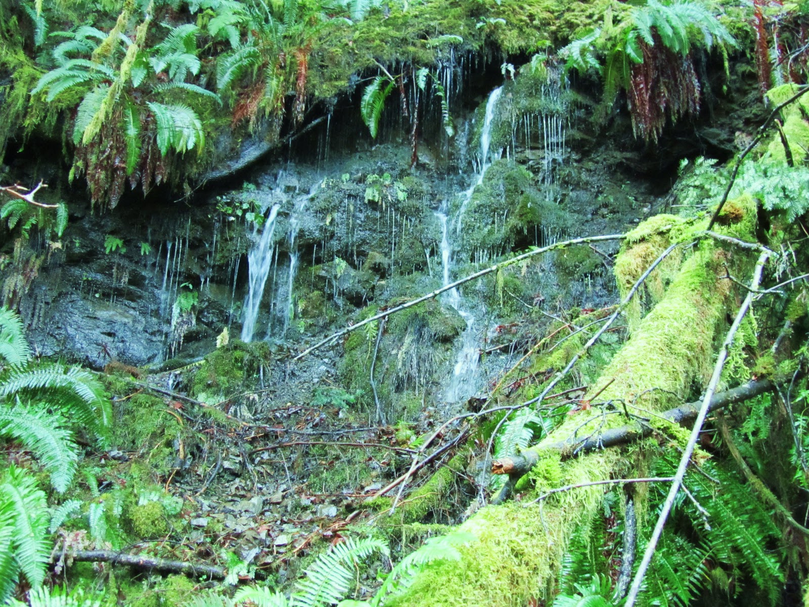 My Pacific Northwest Lime Kiln Trail Granite Falls