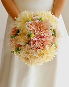 dahlia_win99_l