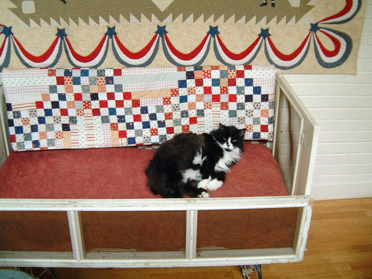 [cat+bed+2.jpg]