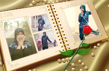 my diary
