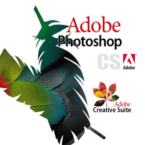 adobe-Dreamweaver-cs4.jpg