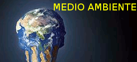 MEDIO AMBIENTE